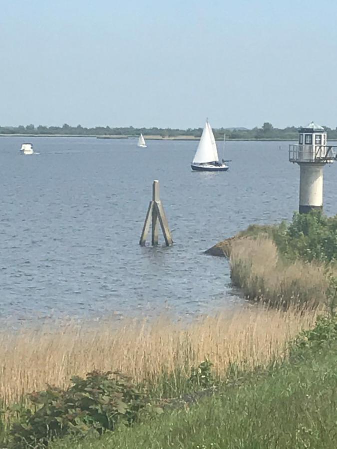 De Lauwersmeer Vogel Mit Eingezaeuntem Garten Anjum Exterior photo